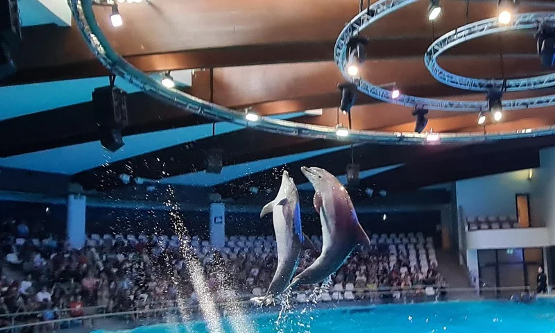 Palanga ja Klaipeda delfinaarium